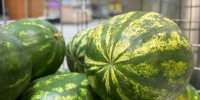 По чему скучают сильнее всего: рейтинг продуктов, которые исчезают из рациона с первым снегом - Regions.Ru