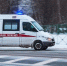 Бешеная рысь искусала ребенка в детском лагере под Уфой - РТВ-Подмосковье