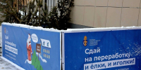 Избавляемся от елки с пользой для природы: куда на самом деле отправляются зеленые красавицы после праздников - Regions.Ru