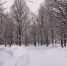 медиасток.рф - MosRegToday.Ru