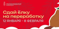 Свыше 160 пунктов для утилизации новогодних деревьев открыли в Подмосковье - Правительство Московской области