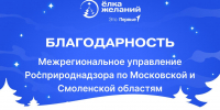 Межрегиональное управление Росприроднадзора по Московской и Смоленской областям приняло участие во Всероссийской благотворительной акции «Ёлка желаний» - Росприроднадзор