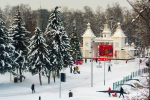 В городском округе Пушкинский выберут лучшие фотографии парков