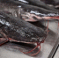 Подмосковные производители рыбной продукции вошли в число лидеров отрасли - РТВ-Подмосковье