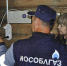 «Газовая» очередь в прошлом: как оставить заявку на ремонт или оформить договор не выходя из дома - Regions.Ru