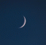 istockphoto.com/Islam Daghestani - MosRegToday.Ru