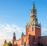 Девочка, которая предложила заменить Зарубина, пришла в Кремль - РТВ-Подмосковье