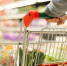 Назван самый подешевевший продукт в России - РТВ-Подмосковье