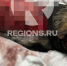 Фото: предоставлено Ольгой Ковальчук - MosRegToday.Ru