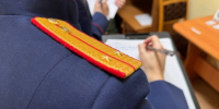 В Раменском возбуждено уголовное дело по факту получения травм ребенком в результате укуса собаки - Следственный комитет