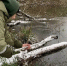 В водоёмах Подмосковья проверили концентрацию частиц микропластика - РТВ-Подмосковье