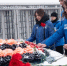 В Подмосковье отметили День освобождения от немецко-фашистских захватчиков - РТВ-Подмосковье