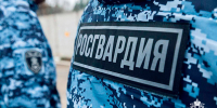 Росгвардейцы задержали рецидивиста, подозреваемого в угрозе убийством в Подмосковье (видео) - Росгвардия