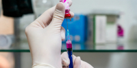 Вакцинация домашних животных на Истринской ветеринарной станции - MosRegToday.Ru