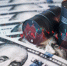 Подорожание нефти до 93 долларов за баррель может решить финансовые проблемы России - GlobalMSK.Ru