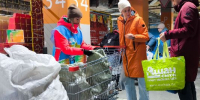 В феврале в Подмосковье проведут семь акций по сбору вторсырья - РТВ-Подмосковье