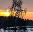 Ледяная иллюзия в -27°C: что такое паргелий и как он превратил одно солнце в четыре в Подмосковье - MosRegToday.Ru