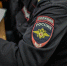 На даче в Домодедово нашли плантацию конопли - Вести Подмосковья