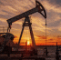 Индия значительно сократила закупки российской нефти - GlobalMSK.Ru