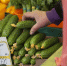 Продуктовый рынок в Москве - MosRegToday.Ru