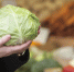 Продуктовый рынок в Москве - MosRegToday.Ru