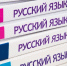Более трети мигрантов не сдали экзамен по русскому языку с первого раза - РТВ-Подмосковье