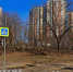 В ОДИНЦОВО РУБЯТ ДЕРЕВЬЯ - Экооборона Московской области