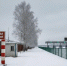 «Подмосковье сегодня»/Сгенерировано нейросетью - MosRegToday.Ru