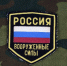 В РФ предложили учредить знак «Мать героя» для матерей погибших бойцов СВО - РТВ-Подмосковье