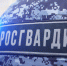 Росгвардейцы задержали подозреваемого в мошенничестве в Подмосковье (видео) - Росгвардия