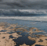 Молдавия рискует столкнуться с экологической катастрофой из-за Украины - РТВ-Подмосковье