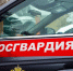 Росгвардейцы задержали рецидивиста, подозреваемого в убийстве в Подмосковье - Росгвардия
