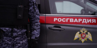 В подмосковном гипермаркете задержали посетителя, попытавшегося украсть куклу - Комсомольская Правда
