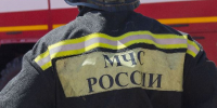 На Москве-реке спасли женщину с собакой, провалившихся под лед - РТВ-Подмосковье