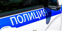 16-летнюю школьницу подозревают в организации убийства бывшего парня - РТВ-Подмосковье