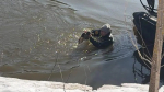 Во время поисков пропавших детей в Звенигороде удалось спасти одну жизнь