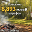 За нарушения в лесах Подмосковья с начала года взыскали около 9 млн рублей штрафов - РТВ-Подмосковье