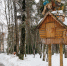 Центральный парк культуры и отдыха в Ногинске Богородского округа - MosRegToday.Ru