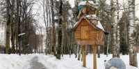 Центральный парк культуры и отдыха в Ногинске Богородского округа - MosRegToday.Ru