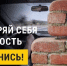 В Подмосковье стартовали акции по пропаганде использования ремня безопасности - РТВ-Подмосковье