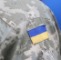 «Эстонская реакция»: эксперт о панике ВСУ из-за прорыва ВС РФ к Запорожью - РТВ-Подмосковье