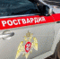Росгвардия Подмосковья отпразднует 10-летие в этом году - РТВ-Подмосковье