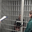В Московской области мужчина признан виновным в убийстве двух женщин - Следственный комитет