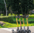 Центральный парк культуры и отдыха  в Лобне - MosRegToday.Ru