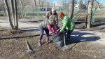 Более 150 жителей Шатуры приняли участие в субботниках