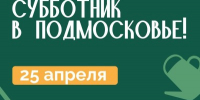 Более 630 мест проведения общеобластных субботников определили в Подмосковье - Правительство Московской области