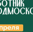 Более 600 мест для общеобластных субботников определили в Подмосковье: уборка с пользой и вознаграждением - MosRegToday.Ru