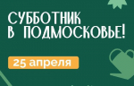 Общеобластной субботник в Подмосковье проведут на 635 локациях