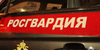 Росгвардейцы в Подмосковье задержали мужчину, находившегося в федеральном розыске - Росгвардия