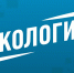 «Кошмар». В центре Хабаровска обнаружили груду мертвой рыбы и черепаху - MosRegToday.Ru